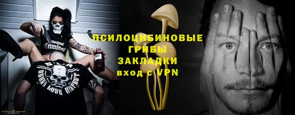MDMA Заводоуковск