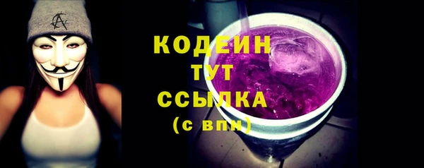 метадон Елизово