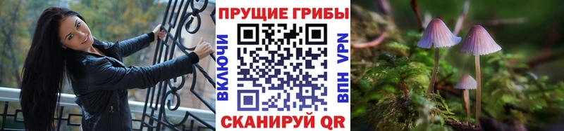 Купить  Северск  Псилоцибиновые грибы ЛСД 